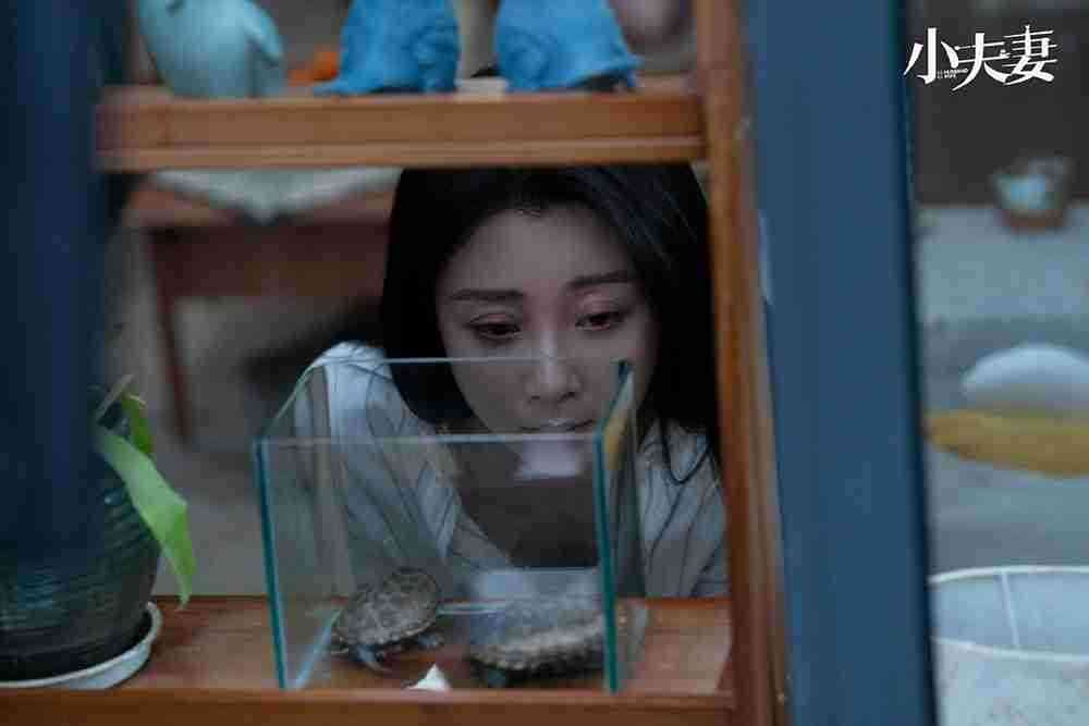 小夫妻3 小夫妻3